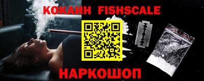 индика Заводоуковск