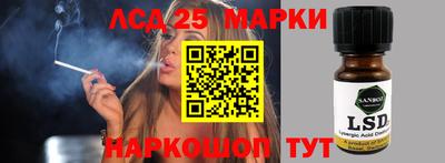 индика Заводоуковск