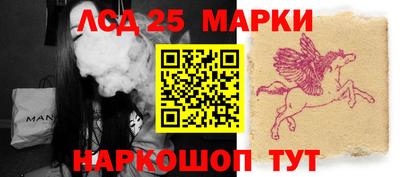 индика Заводоуковск