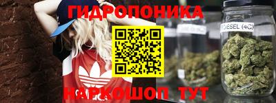 индика Заводоуковск