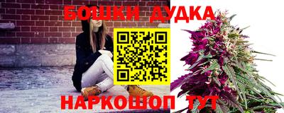 индика Заводоуковск