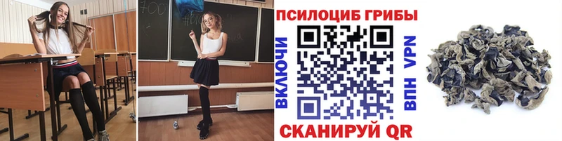 Псилоцибиновые грибы GOLDEN TEACHER  где купить наркоту  Новочеркасск 