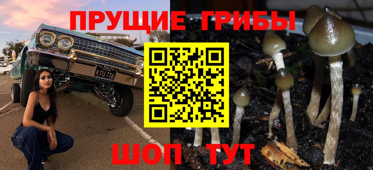 Псилоцибиновые грибы Psilocybe  Вход с VPN  Галлюциногенные грибы мицелий  Новочеркасск 